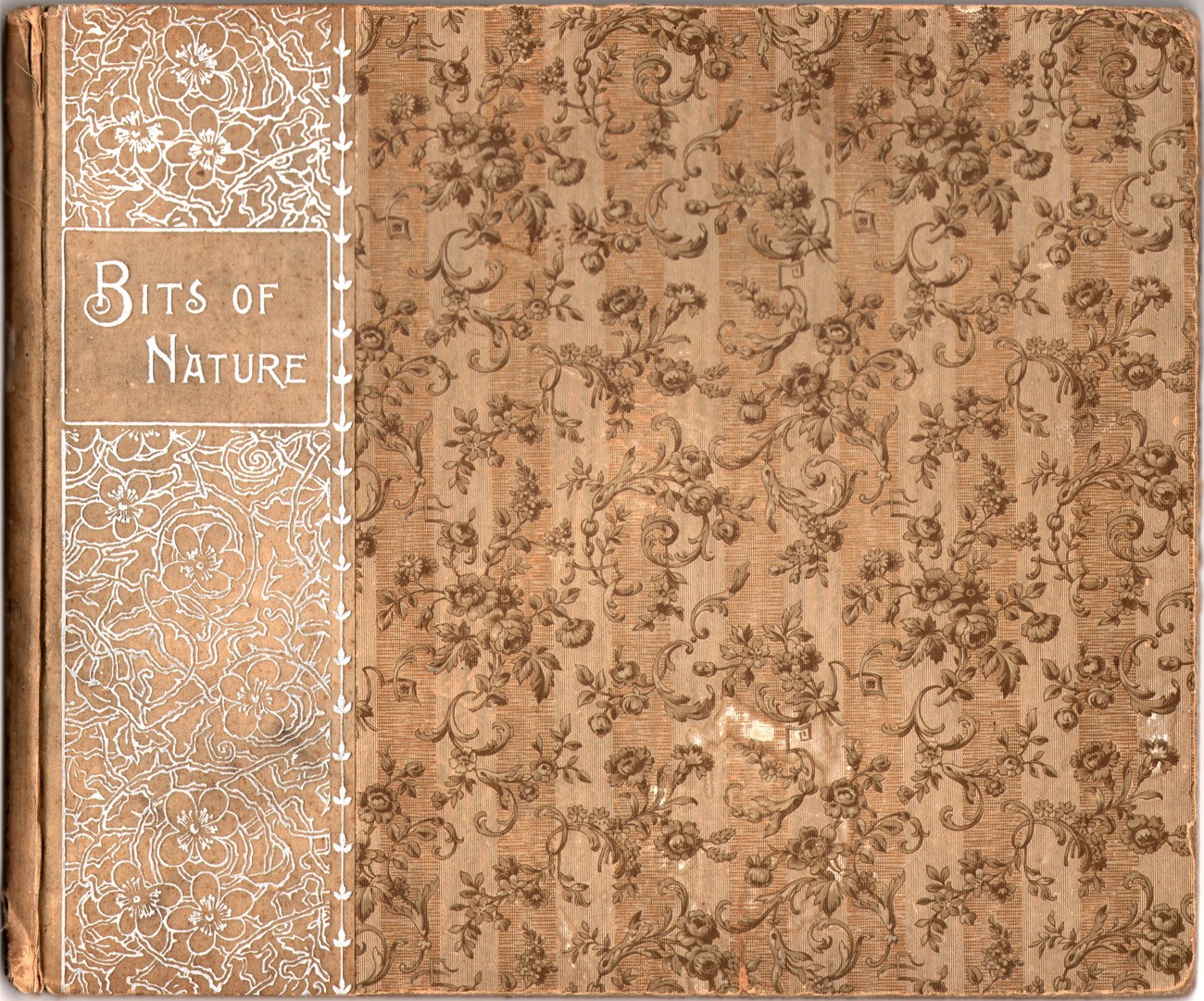 Cover: Bits of Nature: Ten Photogravures of American Scenery