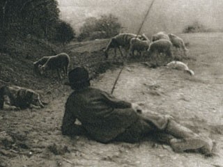 Matinée de mai, en Morvan