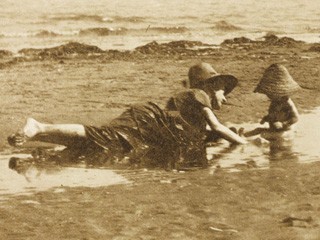 Mushrooms by the Sea