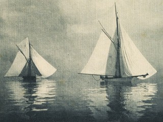 Bits of Nature: A Series of Ten Photogravures from Nature