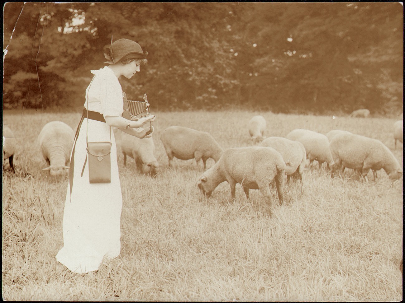 Kodak Girl in Sheep Field