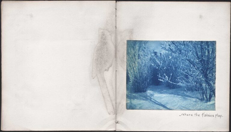 Where The Fairies Play