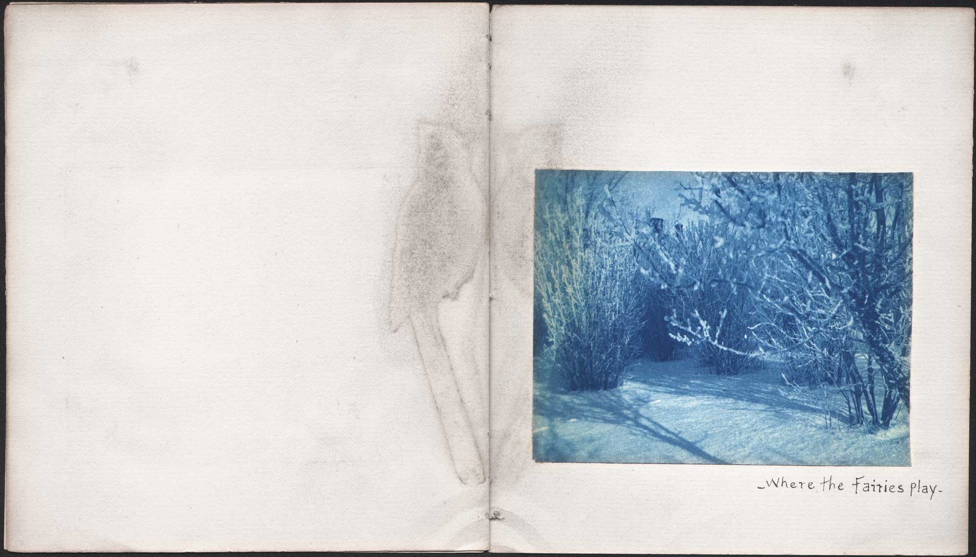 Where The Fairies Play