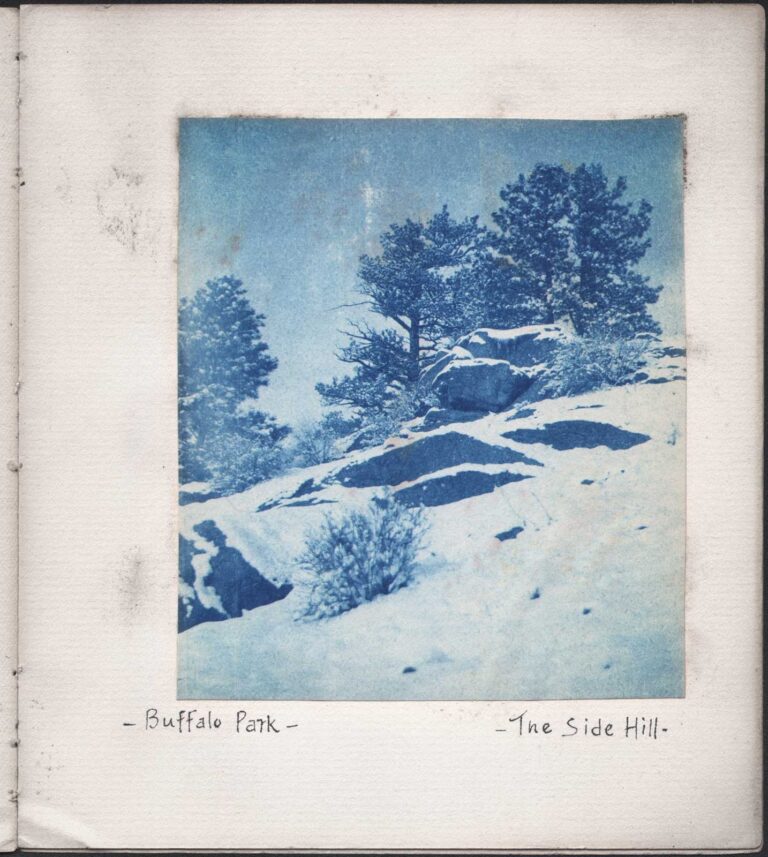 Buffalo Park | The Side Hill