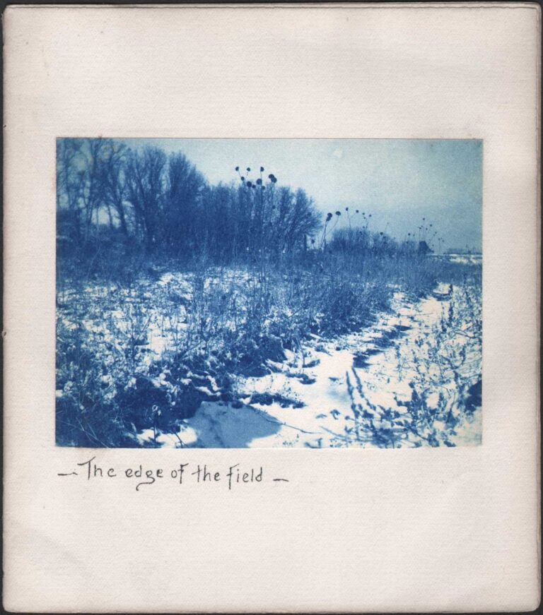 The Edge of the Field