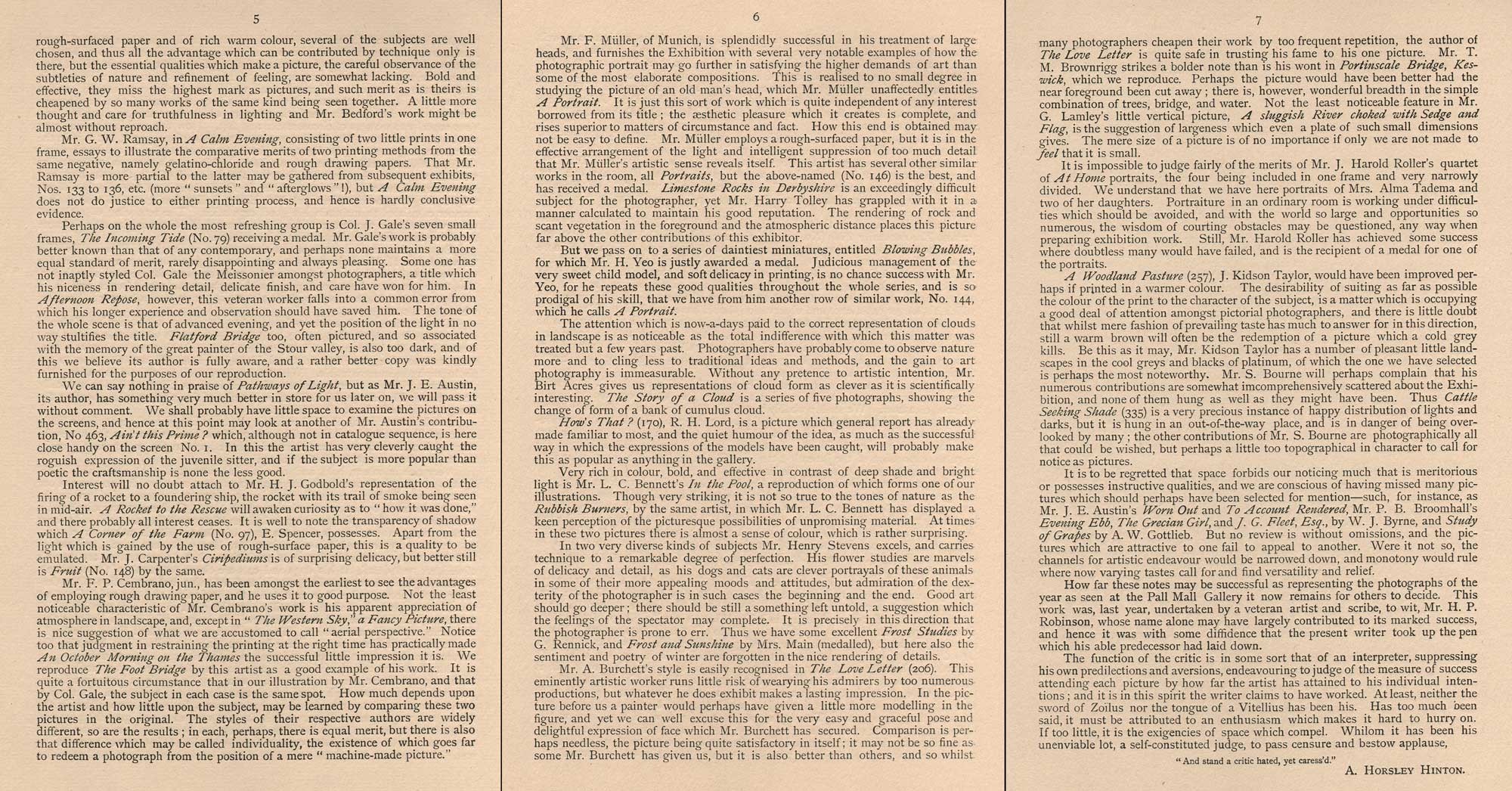 Photographs of the Year Commentary: 5-7