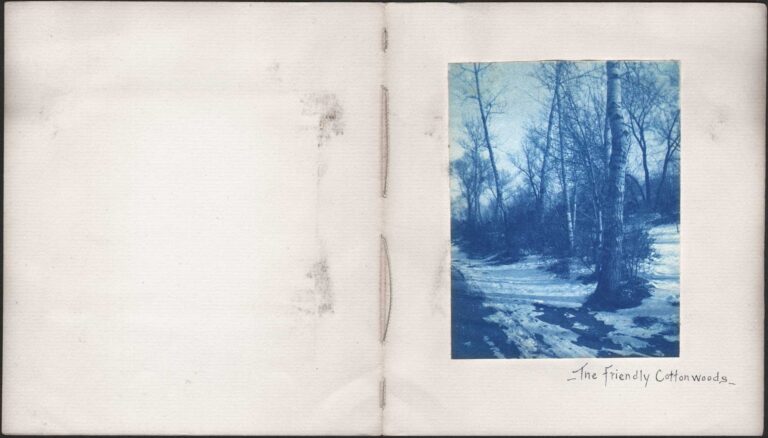 The Friendly Cottonwoods