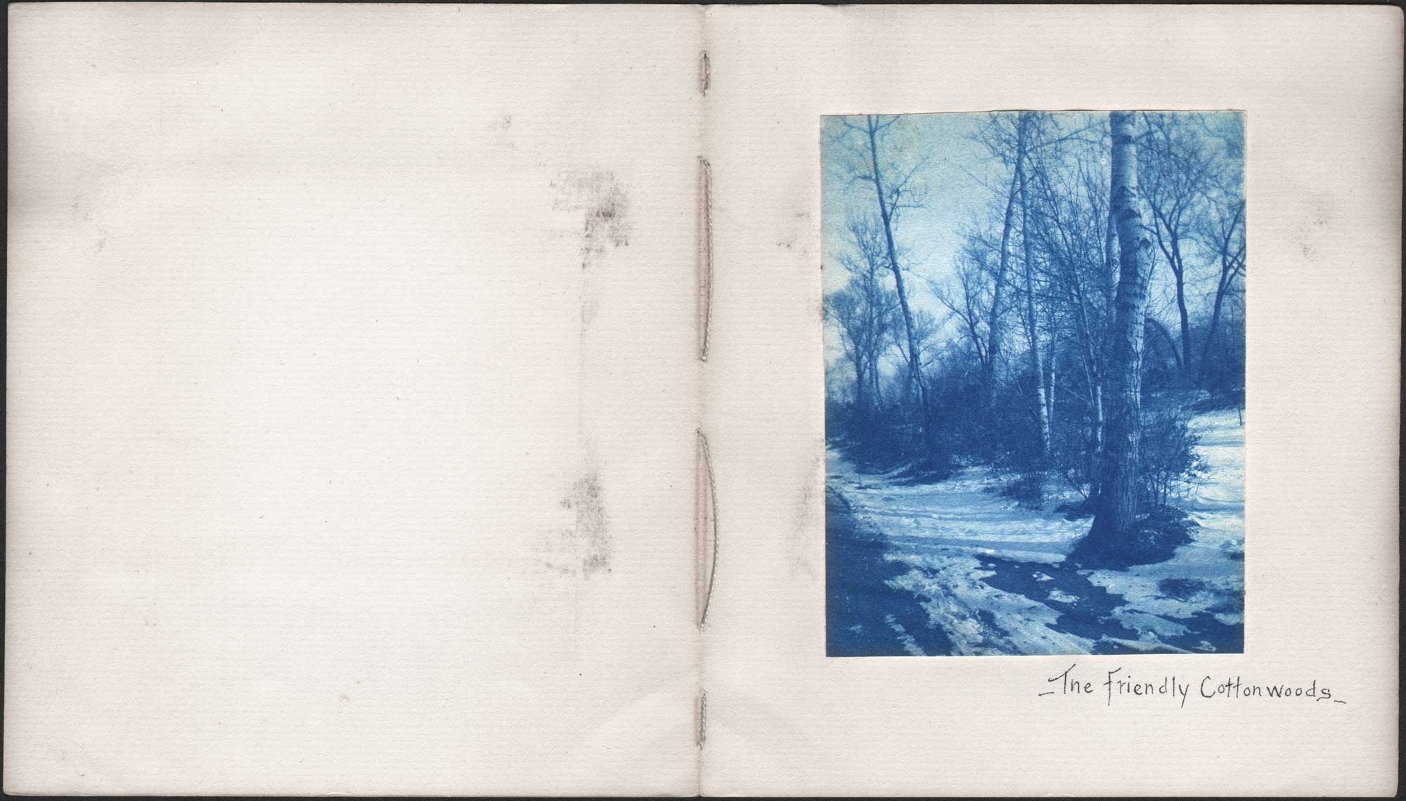 The Friendly Cottonwoods