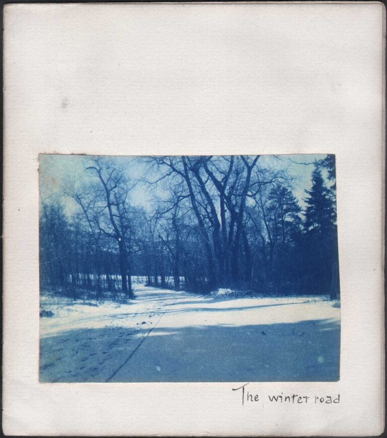The Winter Road