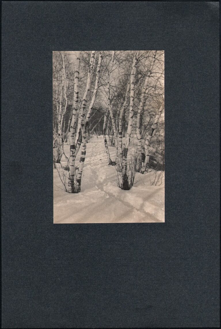 Lovers Lane in Winter