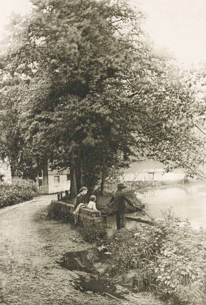 A Roadside Bit in Surrey