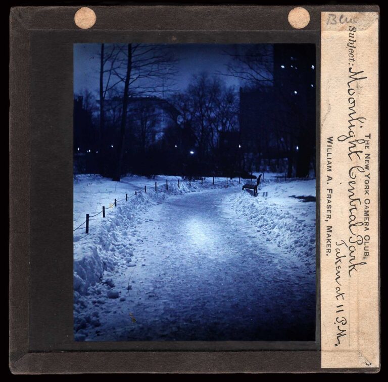 Moonlight, Central Park