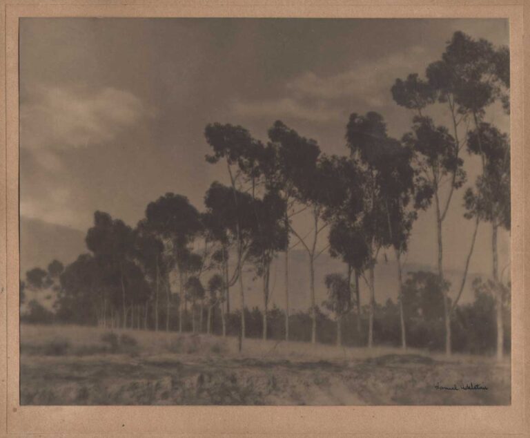 Santa Barbara Landscape