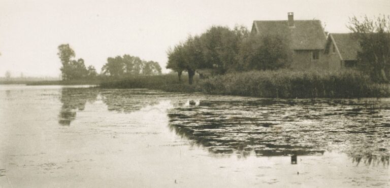 Dort Wo Die Weiden Stehn