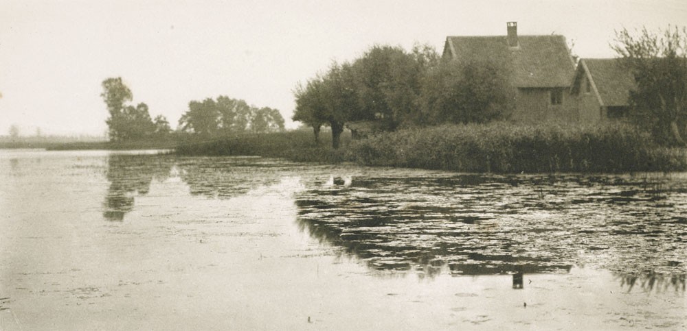 Dort Wo Die Weiden Stehn