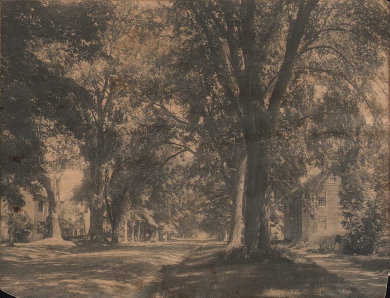 Deerfield Street  (Childs)