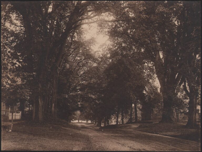 Deerfield Street  (Stebbins)