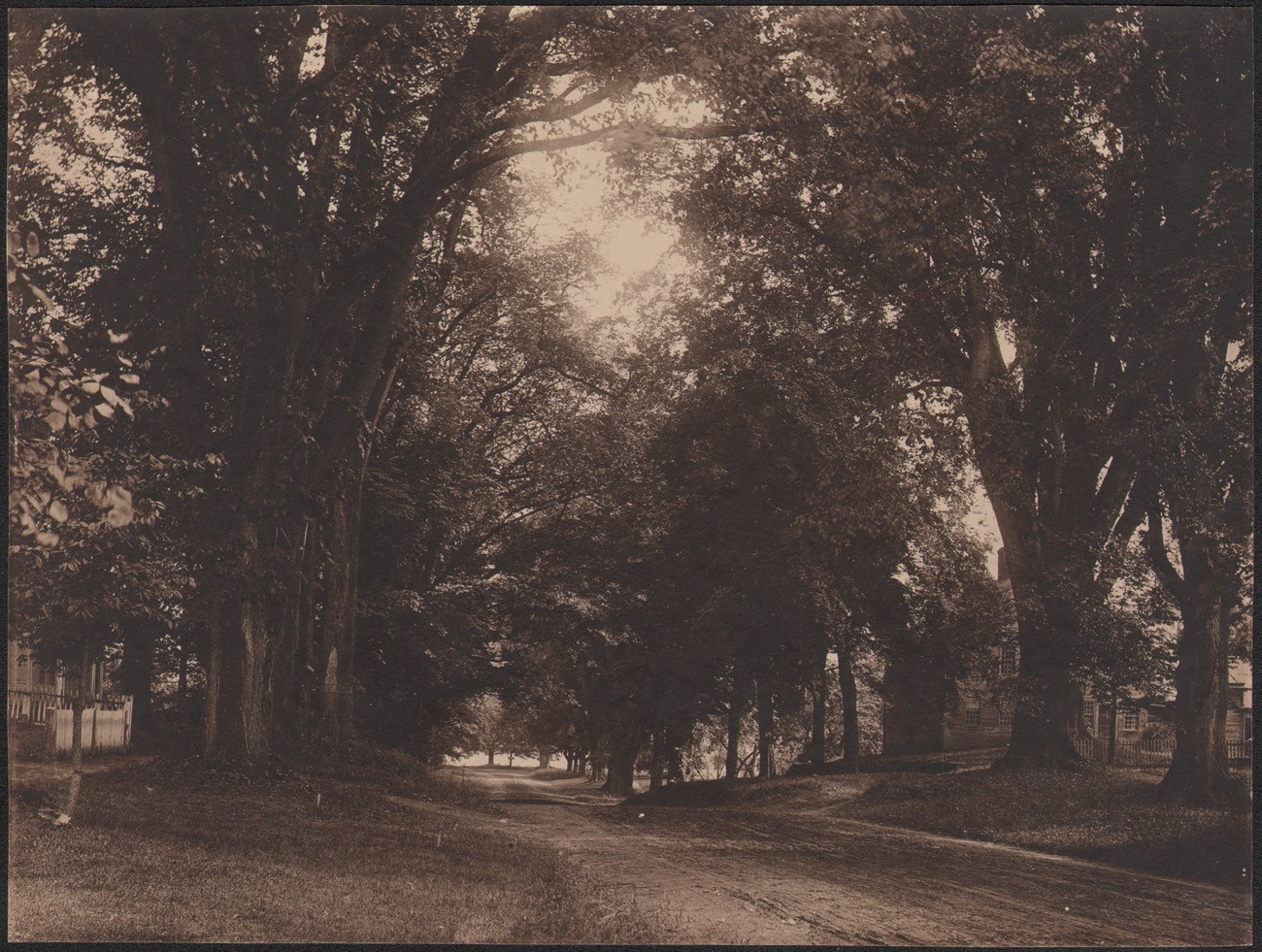 Deerfield Street  (Stebbins)