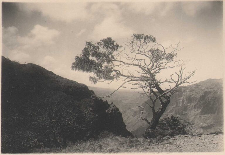 And far along the mountain crests…