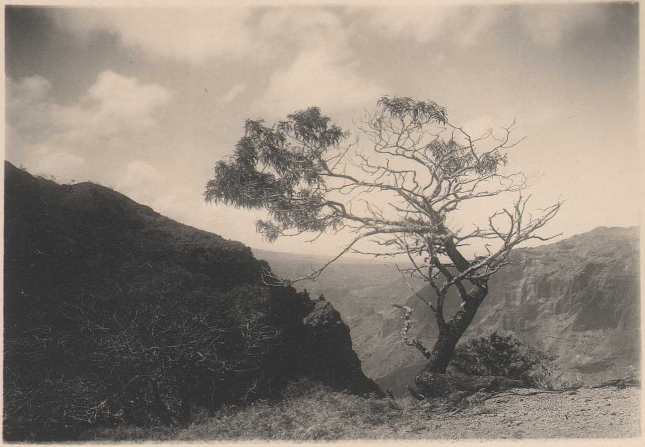 And far along the mountain crests…