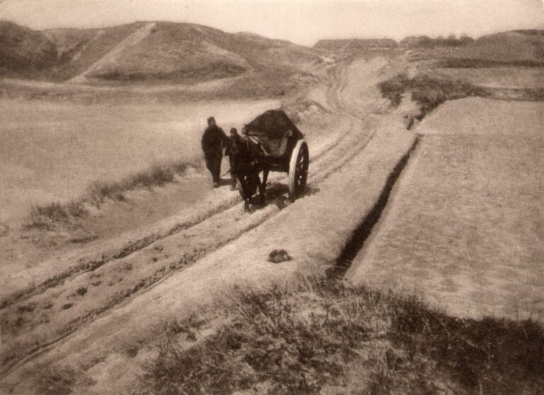 The Road through the Dunes