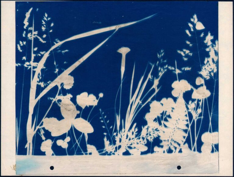 Plant Form Arrangement