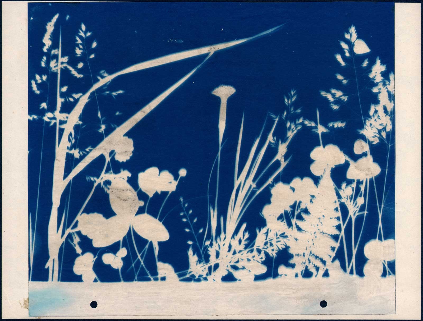 Plant Form Arrangement