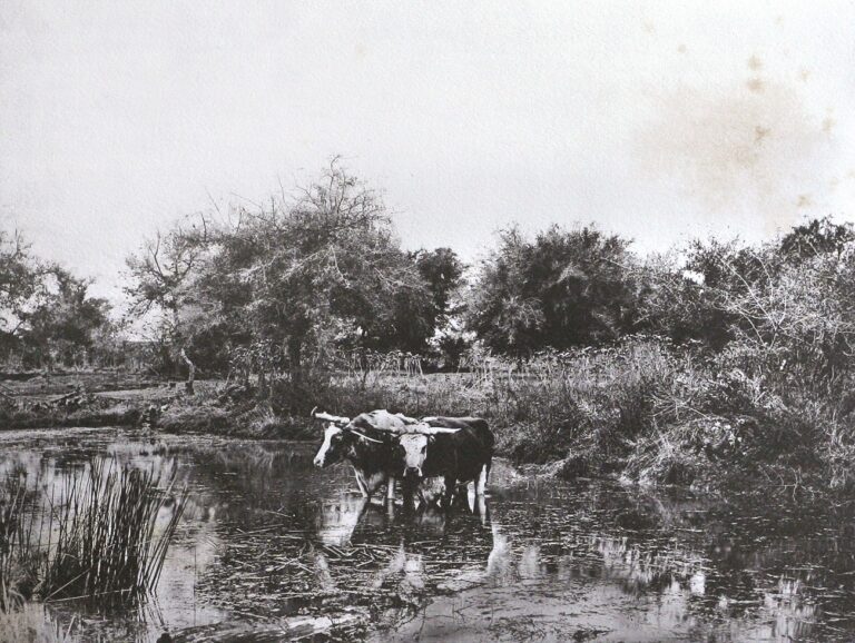 Environs de Buenos-Ayres