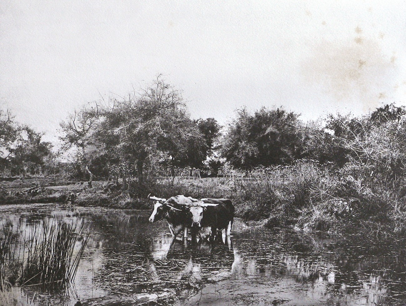 Environs de Buenos-Ayres