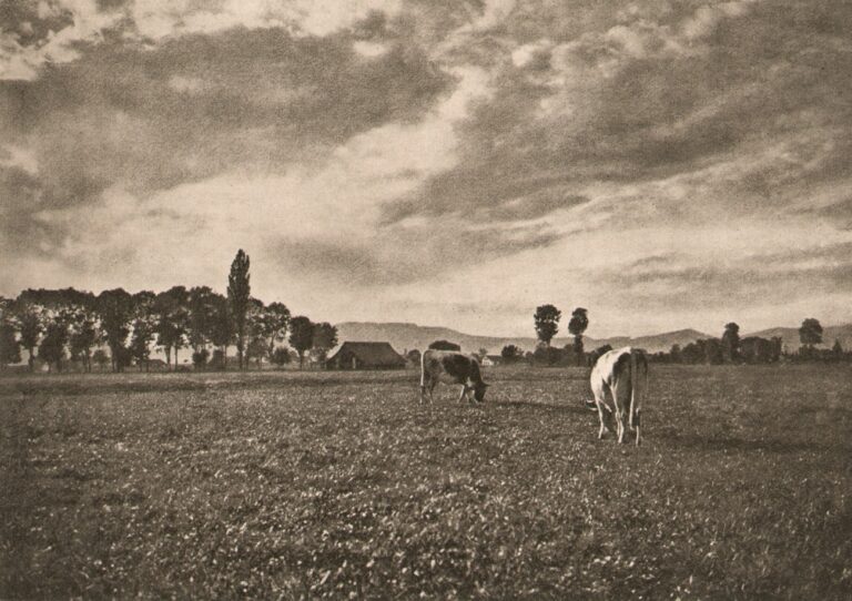 Abend in den Muranen