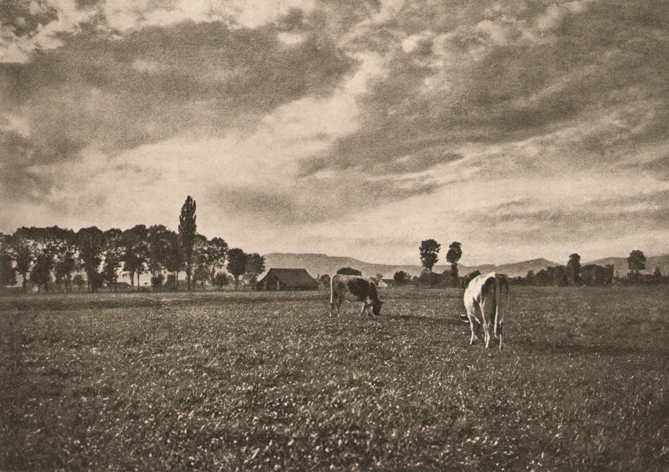 Abend in den Muranen