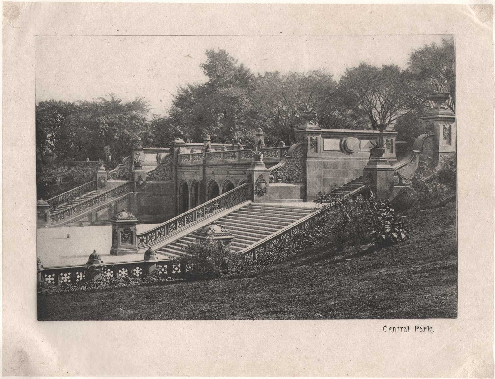 Central Park  (Bethesda Terrace Steps)