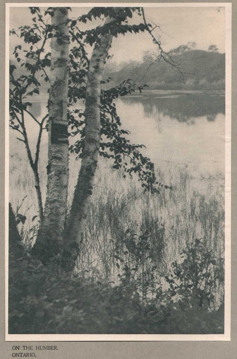 On the Humber, Ontario