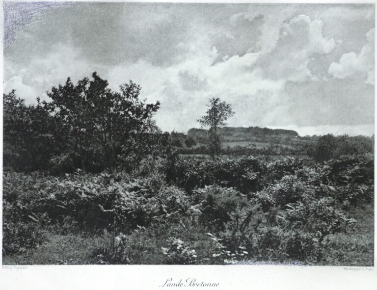 Lande Bretonne