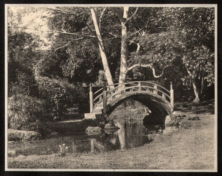 Japanese Tea Garden Bridge : Moanalua Park