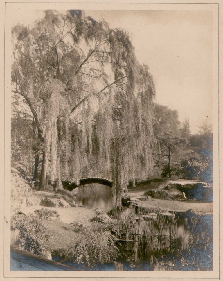 Bridge View at Japanese Hill-and-Pond Garden