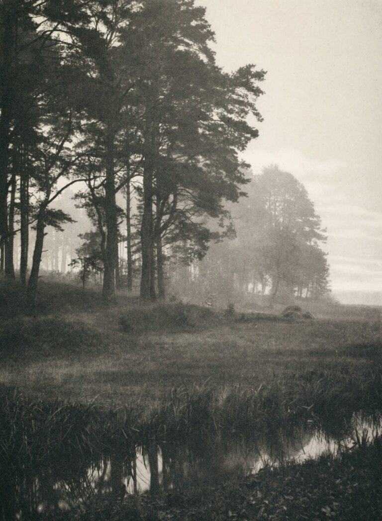 Nebelstimmung in der Mark