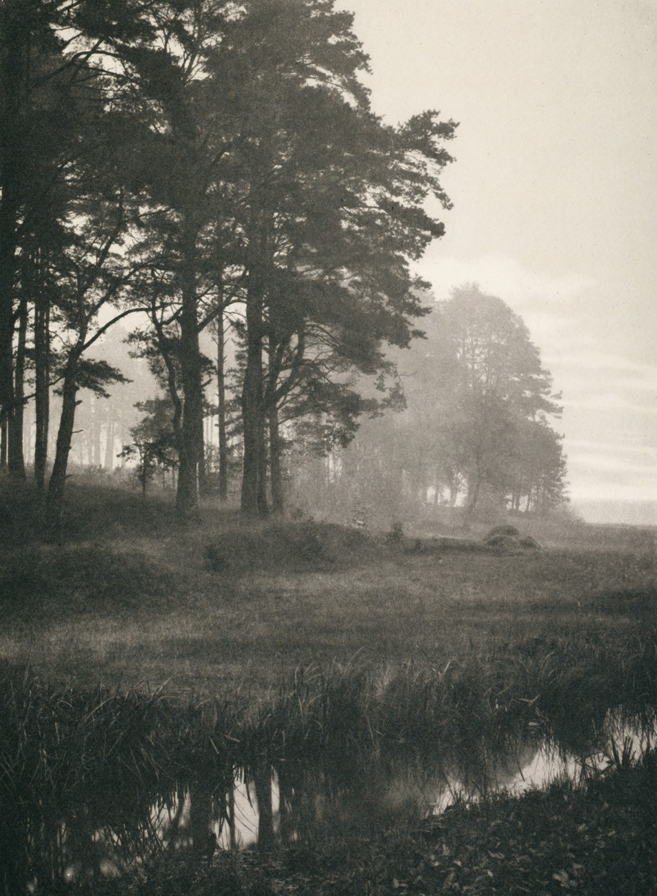 Nebelstimmung in der Mark