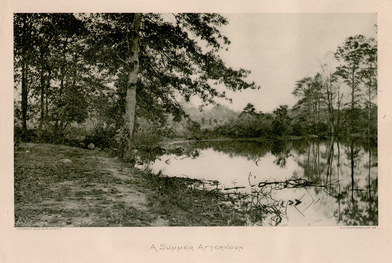 A Summer Afternoon