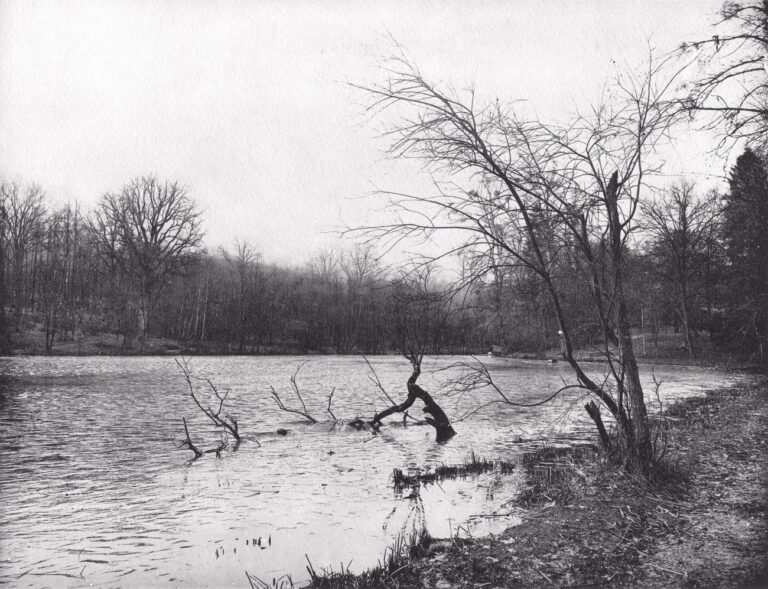 L’Étang de Saint-Cucufa