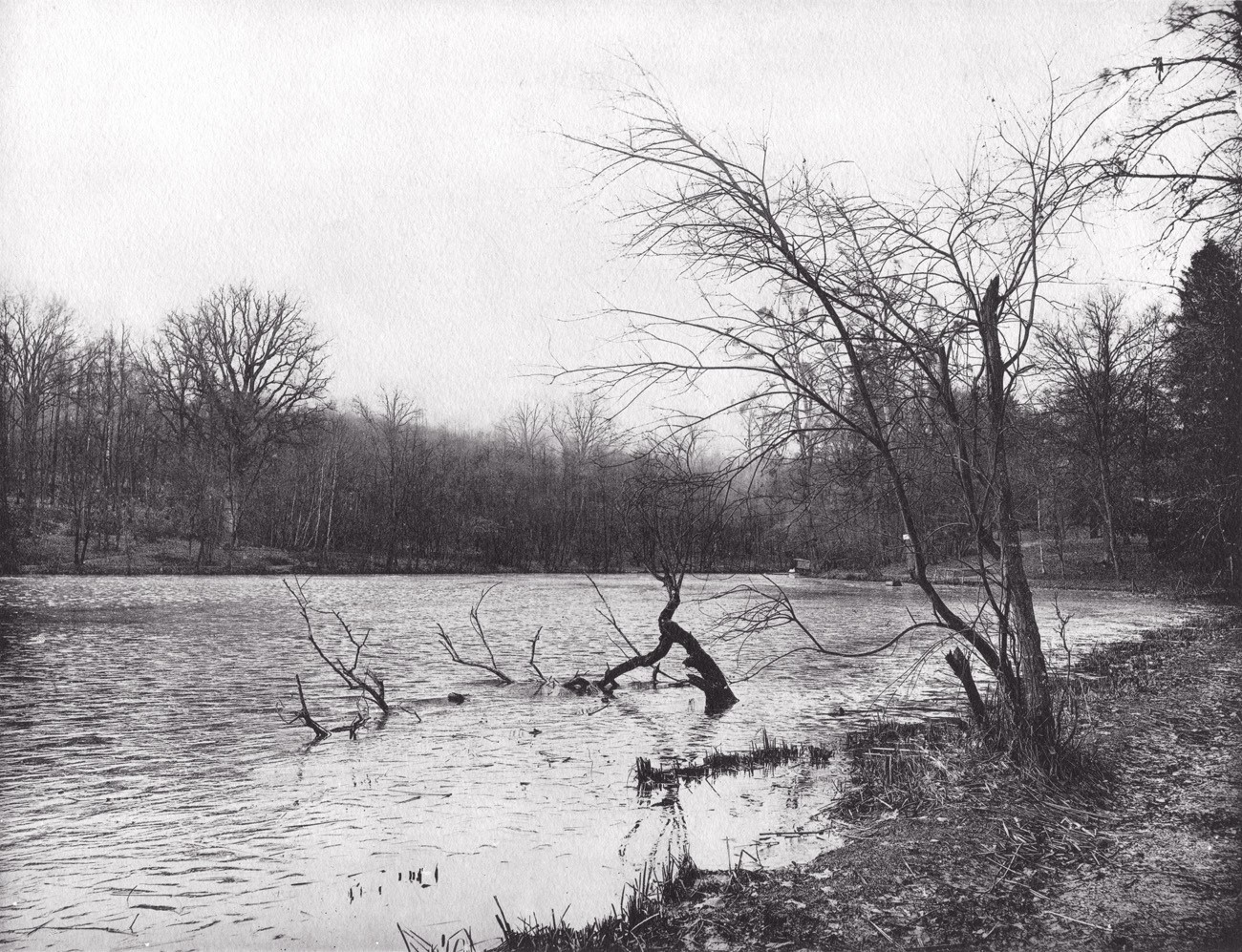 L’Étang de Saint-Cucufa