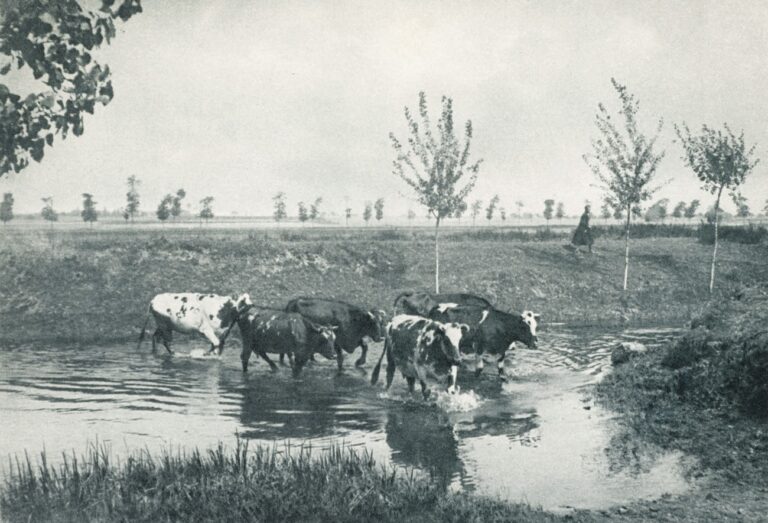 Aufnahme von M. Bucquet in Paris