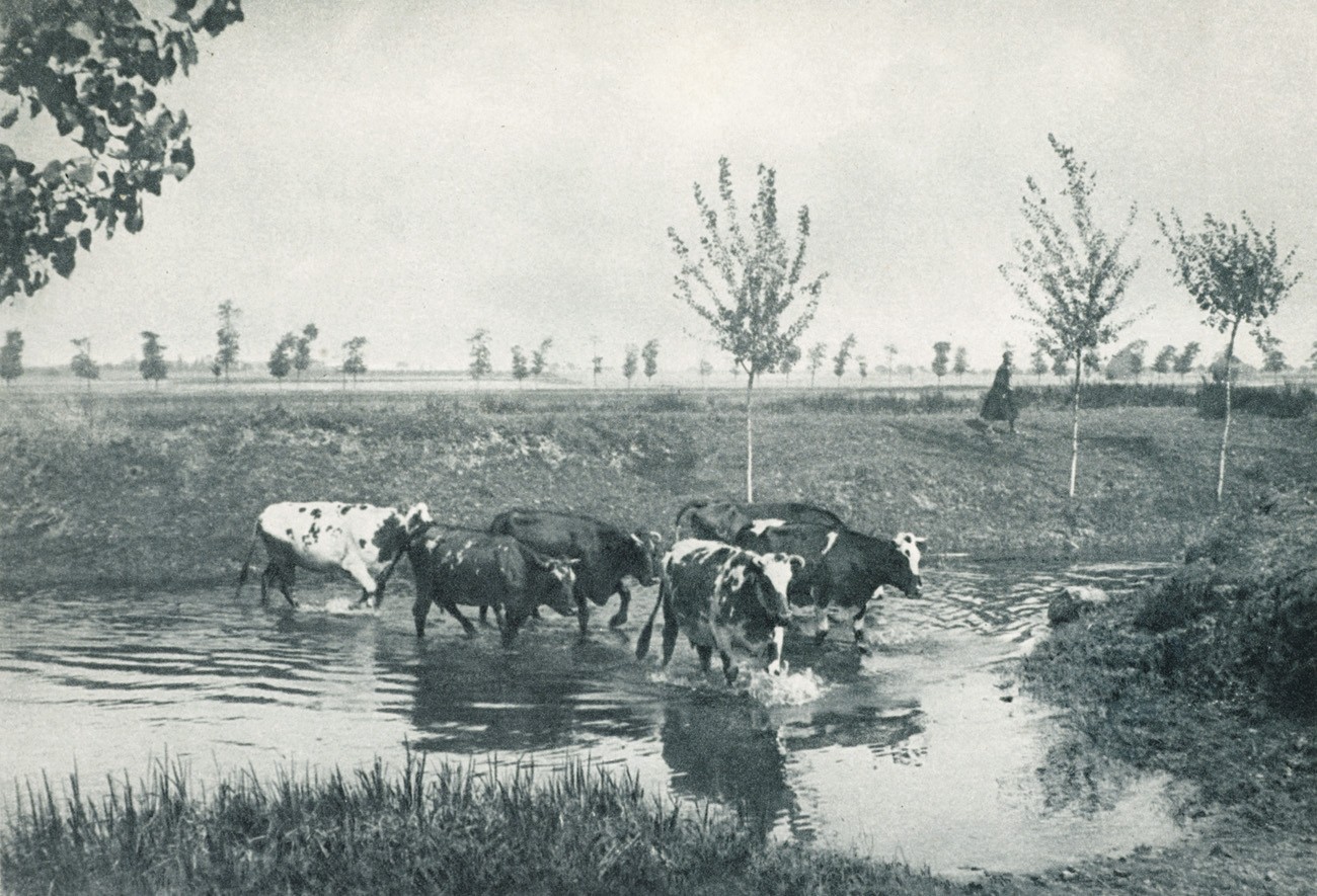 Aufnahme von M. Bucquet in Paris