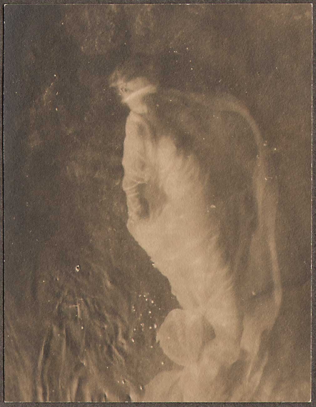 Mermaid Study : Ki-lo-des-ka