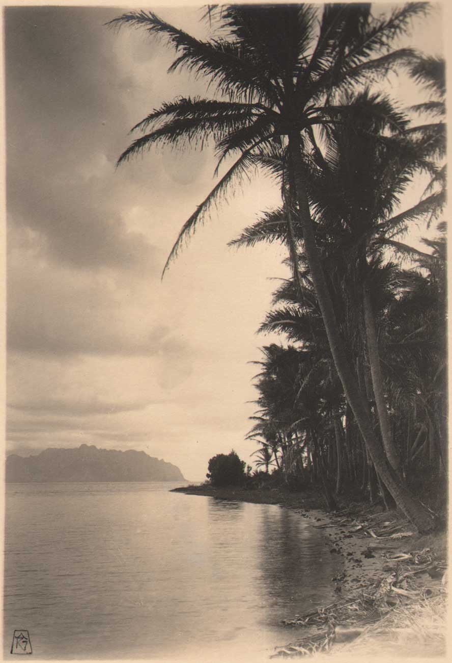 Circled by a sea of beauty…