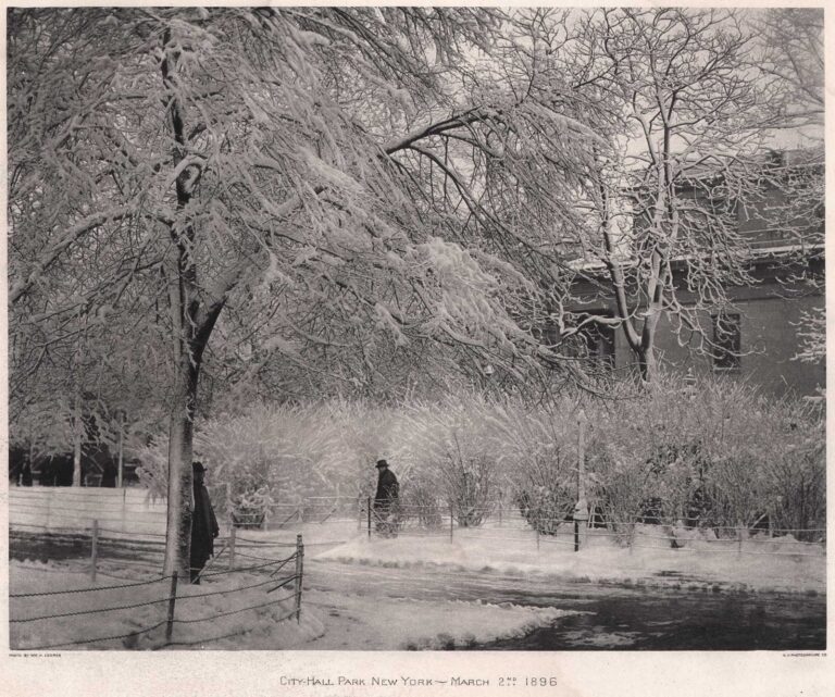 City-Hall Park New York ⎯ March 2nd 1896