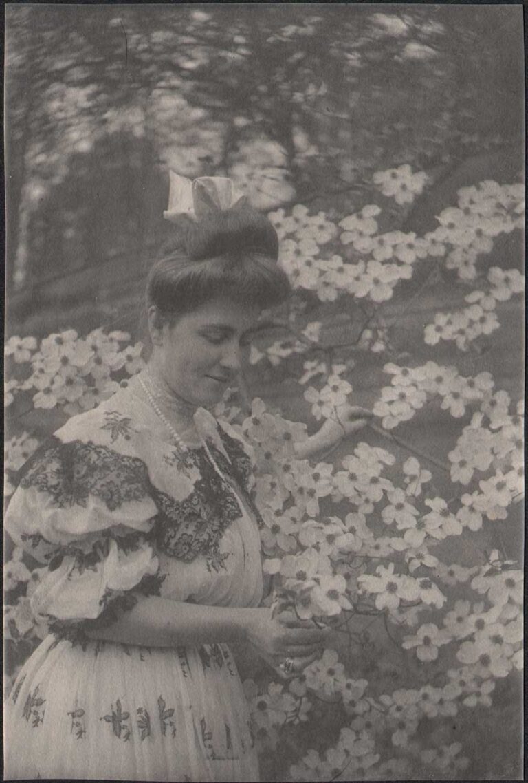 Clare Shipman with Dogwood Blossoms