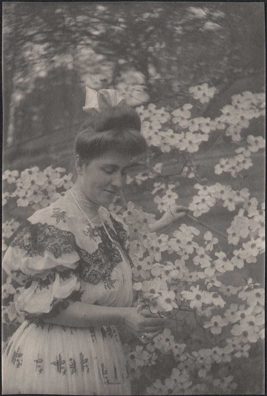 Clare Shipman with Dogwood Blossoms