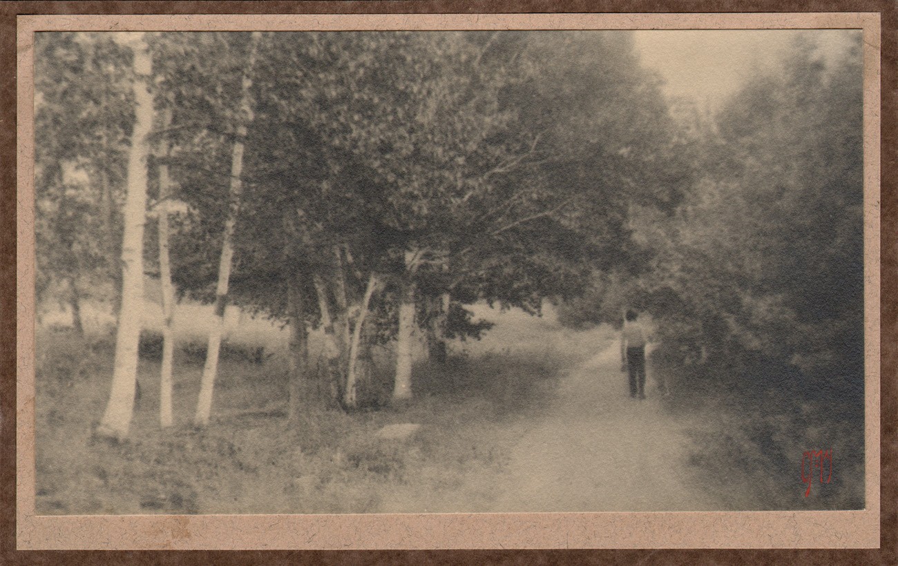 A Walk down a Country Lane