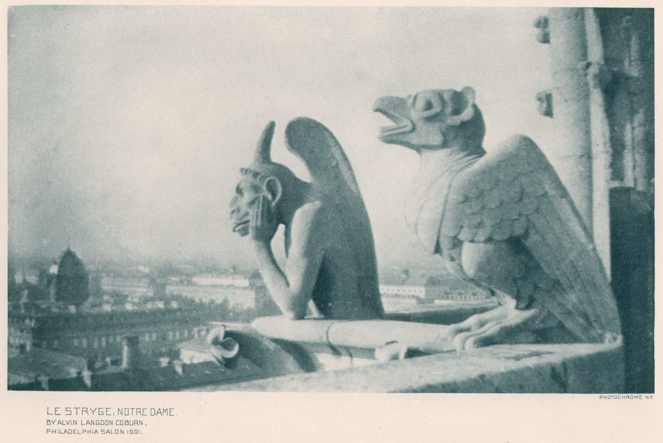 Le Stryge; Notre Dame.